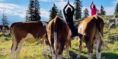 Yogakurs - Deutschland - Meditations-& Wanderretreat auf der Oberen Firstalm